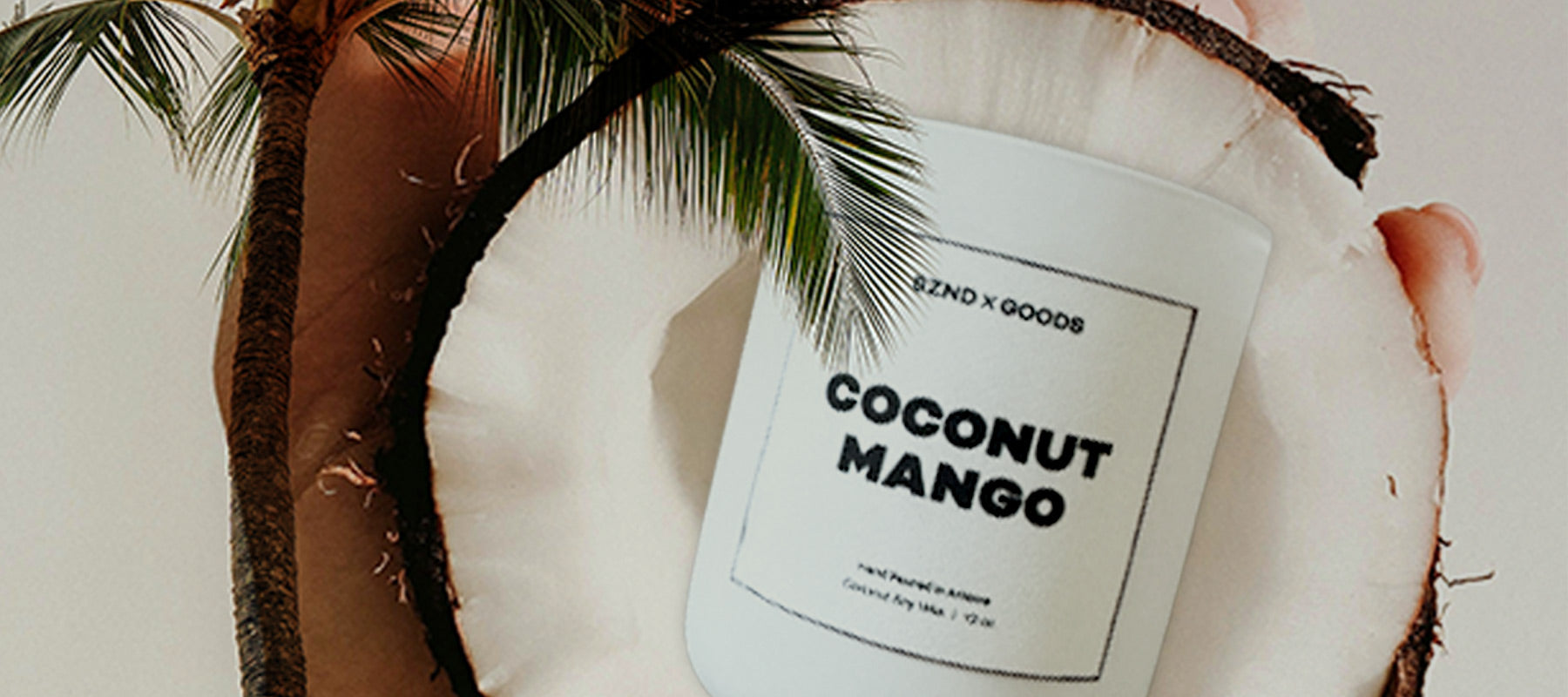 Photo of candle with features of coconut and tropical plants.