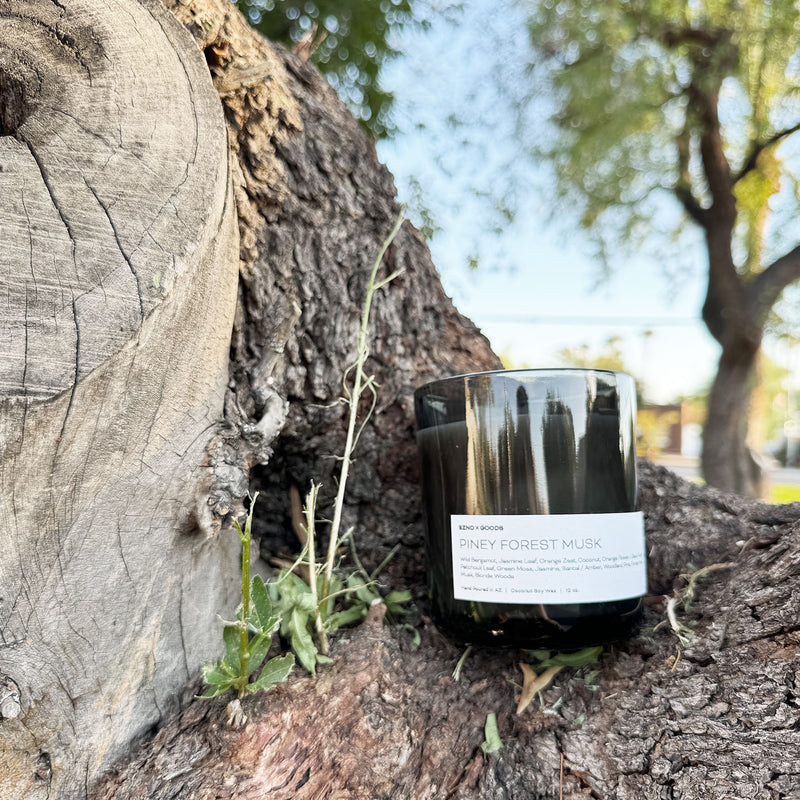 Piney Forest Musk 12oz candle on a tree.