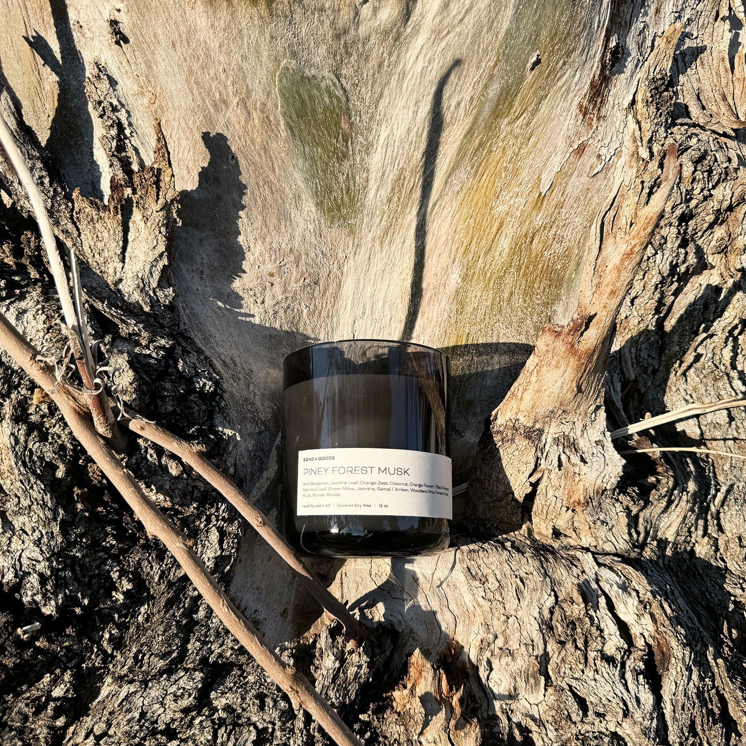 Piney Forest Musk candle in a wood setting.