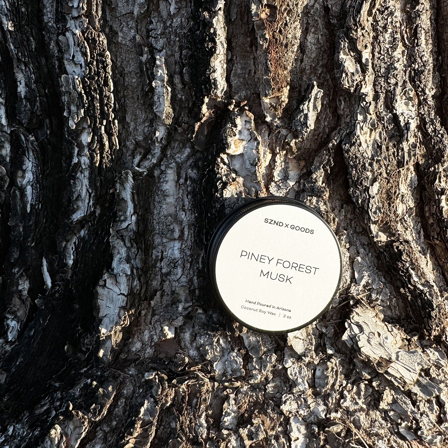 Our mini 2oz candle for the Piney Forest Musk candle scent nestled on a tree.