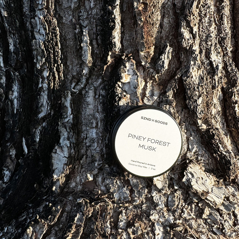 Our mini 2oz candle for the Piney Forest Musk candle scent nestled on a tree.
