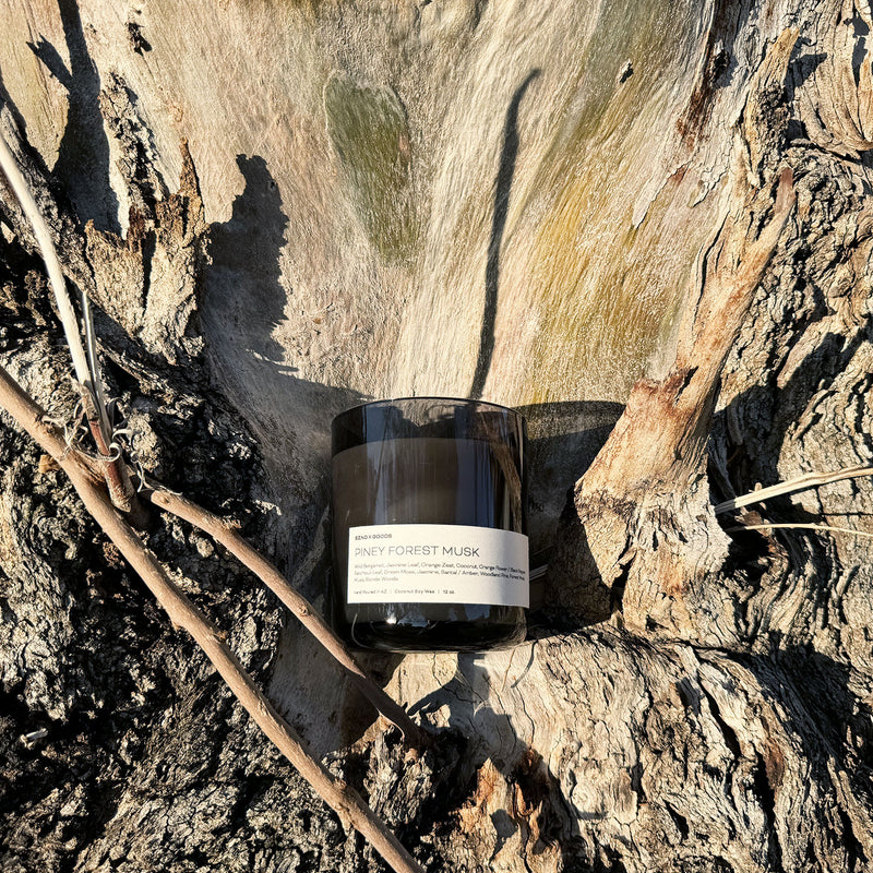 Piney Forest Musk candle in a wood setting.